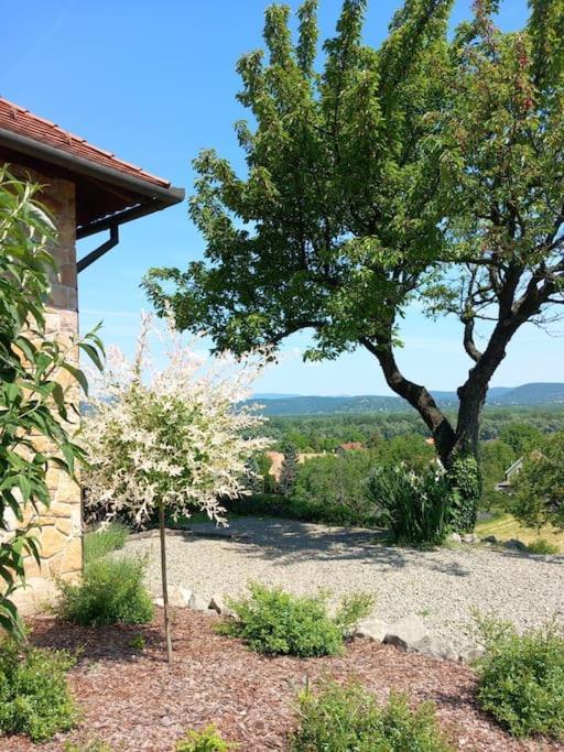 Appartamento Donauresidenz Dunabogdány Esterno foto